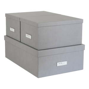 Set od 3 sive kutije za pohranu Bigso Box of Sweden Inge