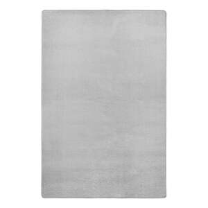 Svijetlo sivi tepih 80x150 cm Fancy – Hanse Home