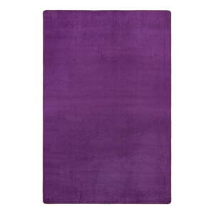 Tamno ljubičasti tepih 160x240 cm Fancy – Hanse Home