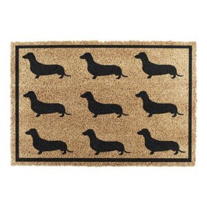 Otirač od kokosovih vlakana 40x60 cm Dachshund – Artsy Doormats