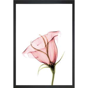 Slika 24x29 cm Misty Bloom – Vavien Artwork