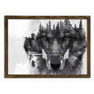 Zidna slika Husky, 70 x 50 cm