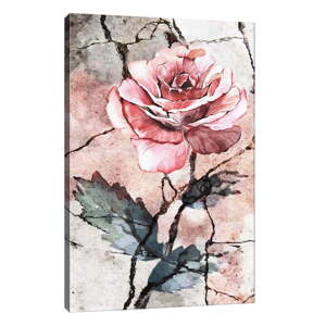 Zidna slika na platnu Tablo Center Rose, 40 x 60 cm