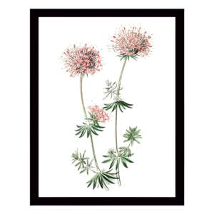 Zidna slika na platnu s crnim okvirom Tablo Center Natura, 29 x 24 cm