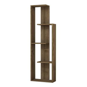 Smeđa biblioteka Wand