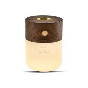 Električni difuzor Smart – Gingko