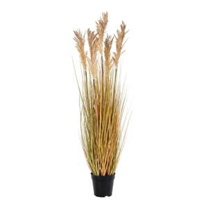 Umjetna trava (visina 110 cm) Sorghum – House Nordic