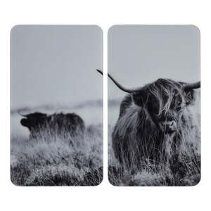 Zaštitni poklopci za štednjak u setu od kaljenog stakla 2 kom 30x52 cm Universal Highland Cattle – Wenko