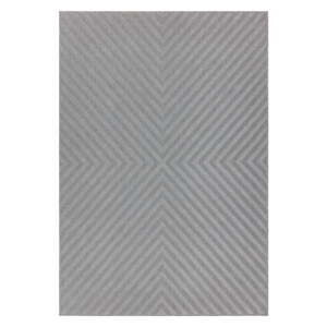 Svijetlosivi tepih Asiatic Carpets Antibes, 200 x 290 cm