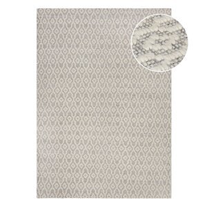 Sivo-bež vuneni tepih Flair Rugs Dream, 120 x 170 cm