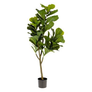 Umjetni fikus (visina 150 cm) Lyrata – Kave Home