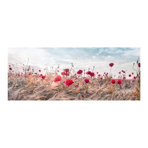 Slika na platnu Styler Poppies, 60 x 150 cm