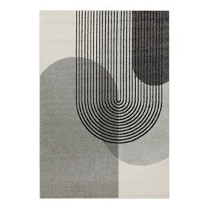Sivi tepih 170x120 cm Muse - Asiatic Carpets