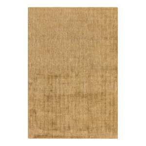 Žuti tepih 230x160 cm Aston - Asiatic Carpets