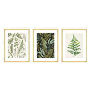 Slike u setu 3 kom 30x40 cm Fern – knor