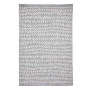 Sivo-bež vanjski tepih 220x160 cm Coast - Think Rugs