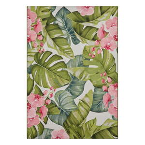 Vanjski tepih 120x180 cm Flair – Hanse Home