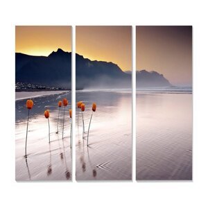 Slike u setu od 3 kom 20x50 cm - Wallity