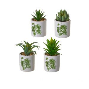 Umjetne biljke u setu 4 kom Cactus – Casa Selección