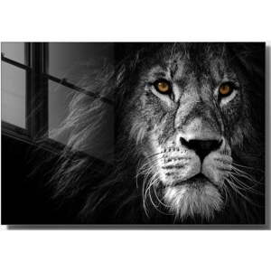 Staklena slika 70x50 cm Lion - Wallity