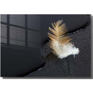 Staklena slika 100x70 cm Feather - Wallity