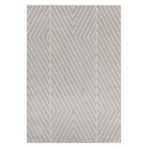 Svijetlo sivi tepih 80x150 cm Muse – Asiatic Carpets