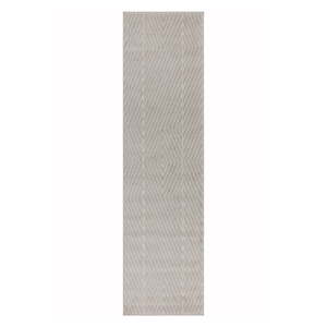 Svijetlo sivi tepih staza 66x240 cm Muse – Asiatic Carpets