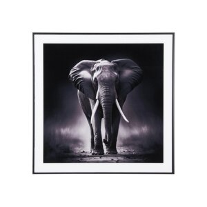Slika 50x50 cm  Elephant  – PT LIVING