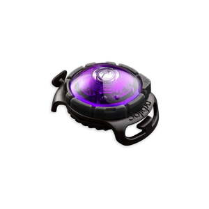 LED svjetlo za ovratnik Purple - Orbiloc
