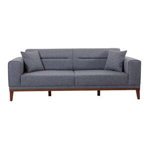 Tamno siva sklopiva sofa 223 cm Liones – Artie