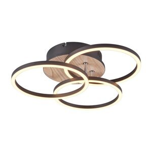 Crno-smeđa LED stropna svjetiljka 43x43 cm Circle – Trio