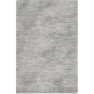 Sivi vuneni tepih 160x240 cm Fam – Agnella