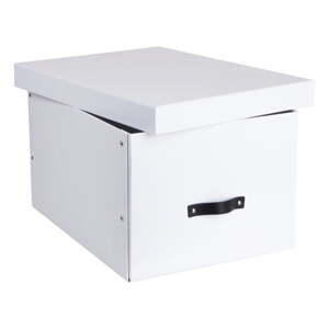 Kartonska kutija za pohranu s poklopcem Tora – Bigso Box of Sweden
