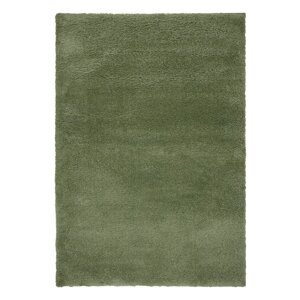 Zeleni tepih 160x230 cm – Flair Rugs