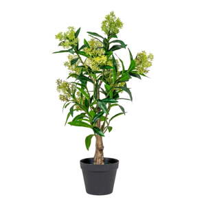 Umjetna biljka Skimmia - House Nordic
