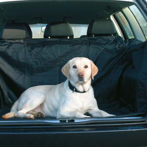 Podloga za auto Trixie – Plaček Pet Products