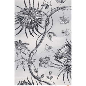 Svijetlo sivi vuneni tepih 200x300 cm Talwin – Agnella