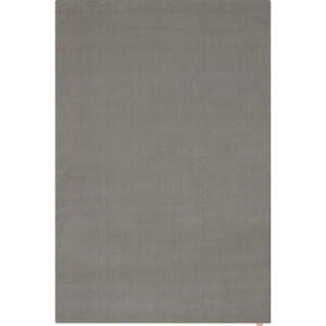 Sivi vuneni tepih 300x400 cm Calisia M Smooth – Agnella