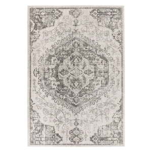 Sivi/krem tepih 200x290 cm Nova – Asiatic Carpets
