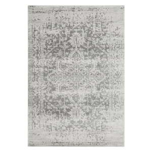 Sivi tepih 80x150 cm Nova – Asiatic Carpets