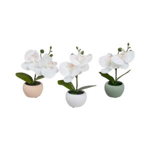 Umjetne biljke u setu 3 kom (visina 15 cm) Orchid – Casa Selección