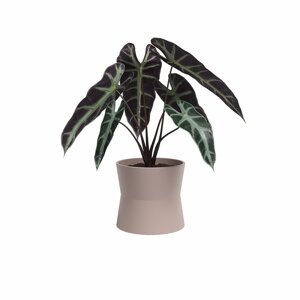Keramička tegla za cvijeće ø 14 cm Diana – Artevasi