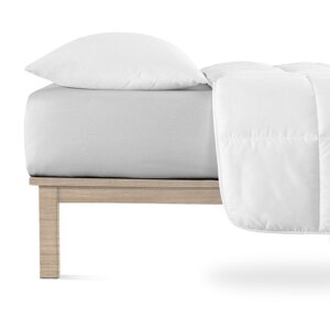 Svijetlo siva plahta s gumom od jerseya 140x200 cm Boxspring – Andrea Simone