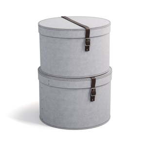 Svijetlo sive kartonske kutije za pohranu u setu  2 kom s poklopcem ø 37,5x25,5 cm Rut – Bigso Box of Sweden