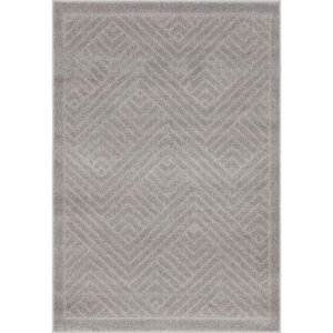 Sivi tepih 160x230 cm Lori – FD