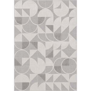 Sivi/krem tepih 160x230 cm Lori – FD