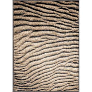 Smeđi tepih 133x180 cm Avanti – FD