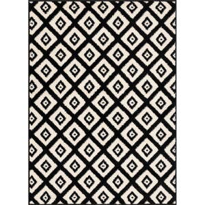 Crno-bijeli tepih 160x220 cm Avanti – FD