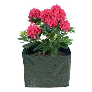 Visoka gredica za sadnju – Garden Pleasure