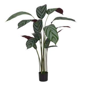 Umjetna biljka (visina 150 cm) Calathea – Ixia